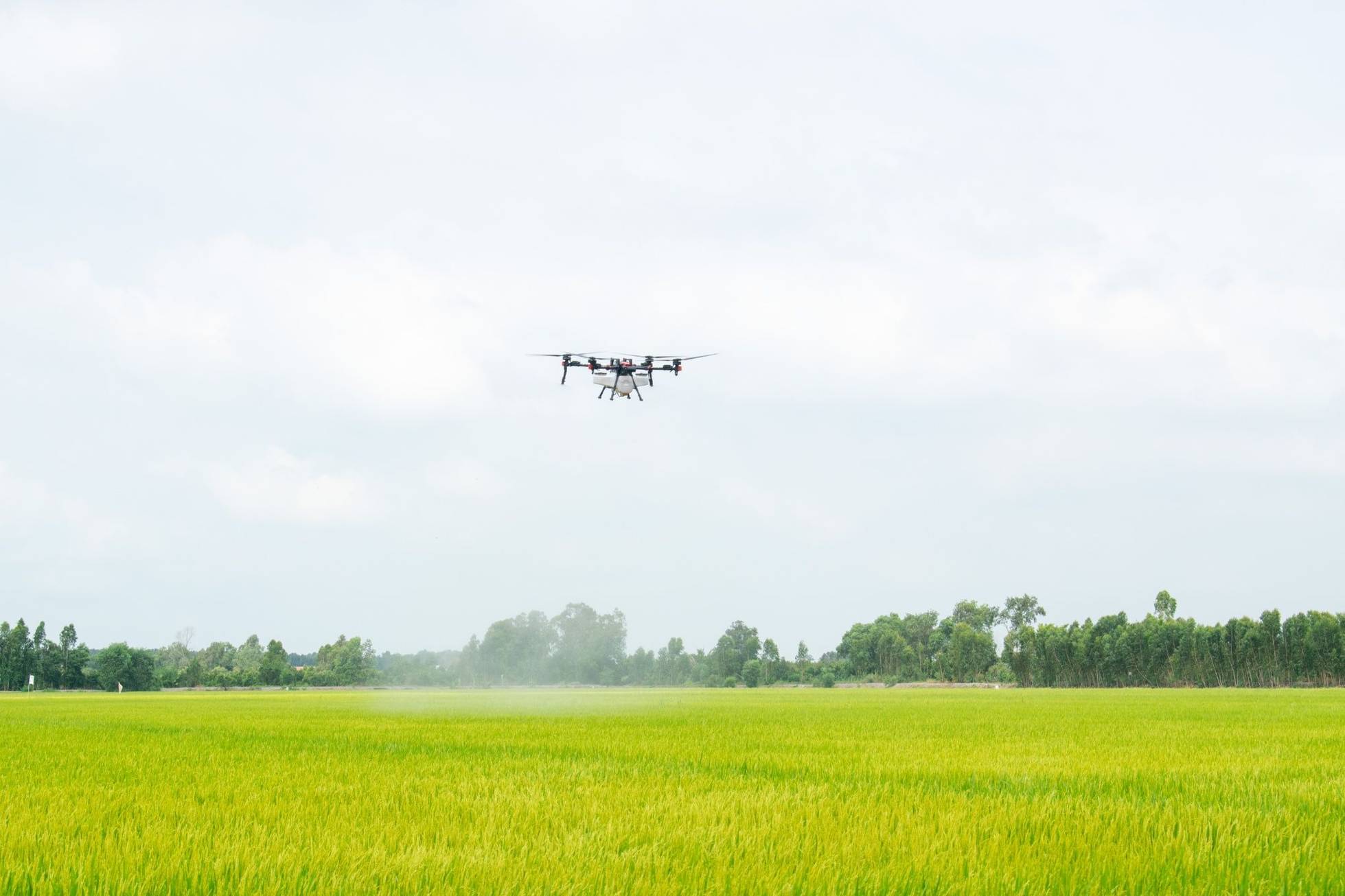 P150 in Operation