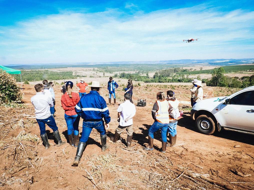 In Brazil’s Planted Forests, Drones Hover for Tree Protection 