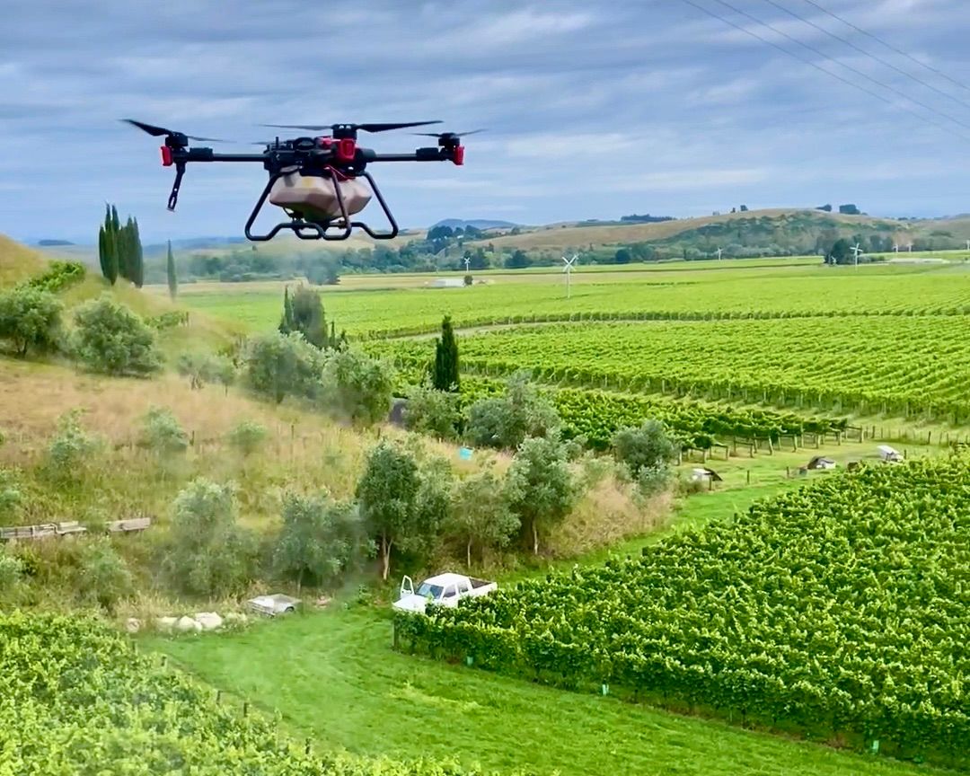 XAG P100 Agricultural Drone sprayed vineyard to protect wine grapes
