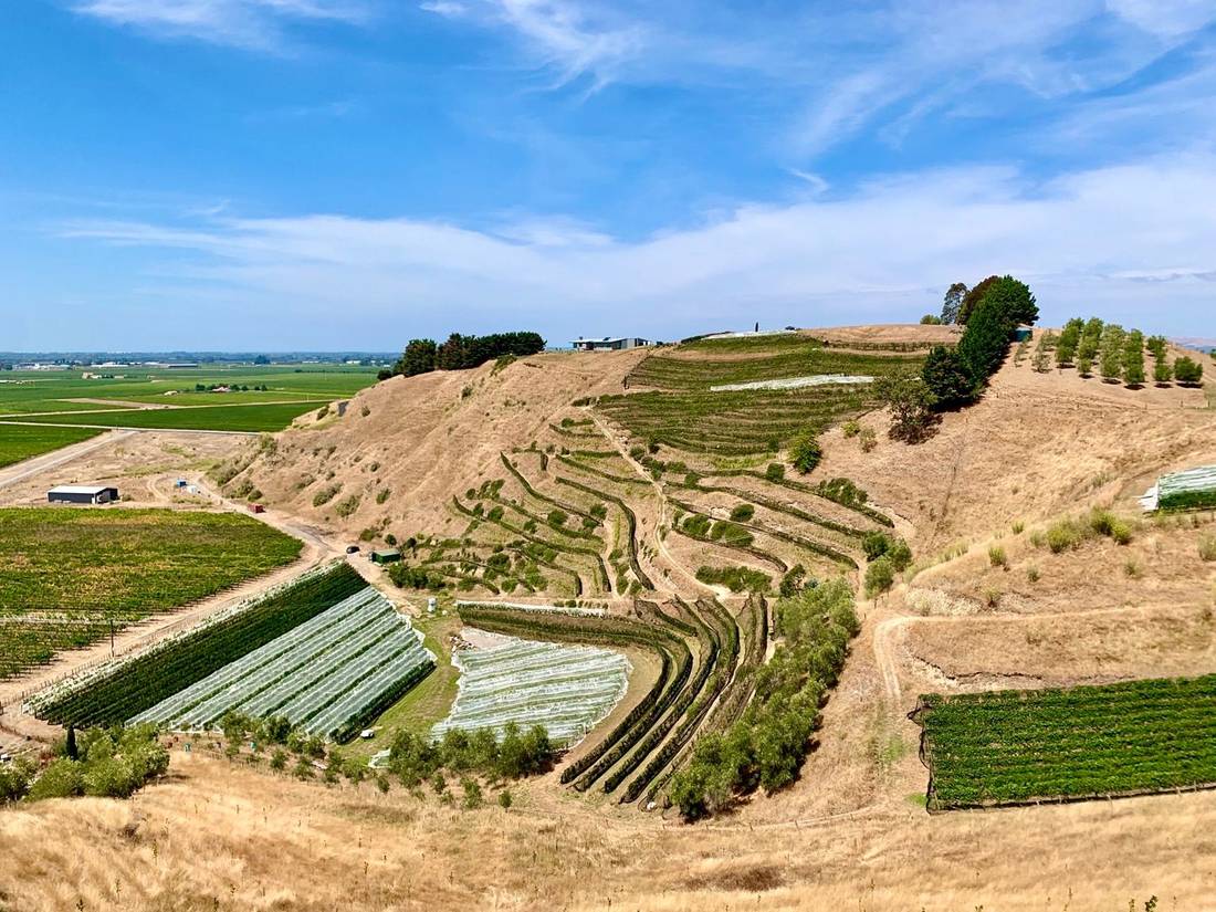 Bilancia Vineyard in Hawke's Bay, New Zealand
