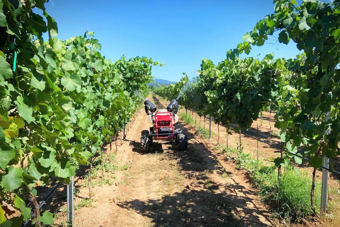 Shuttles between rows of grapevines, R150 was tested its ability to guard little grapes that still secretly hide beneath leaves. Can you spot them?
