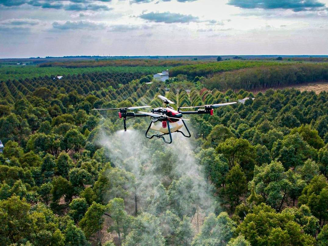 XAG P100 Agricultural Drone Spraying in Durian Orchard