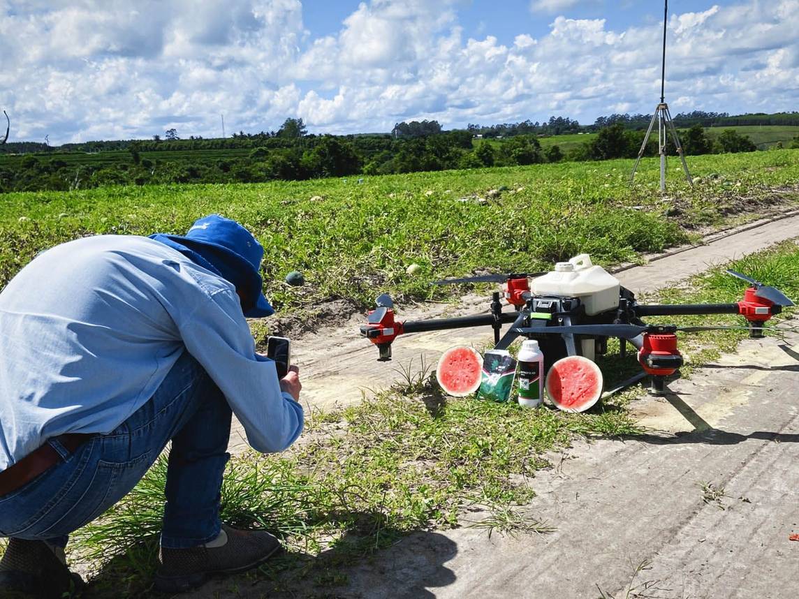 Rural Spotlight | Amazements from the Colourful Cash Crops 