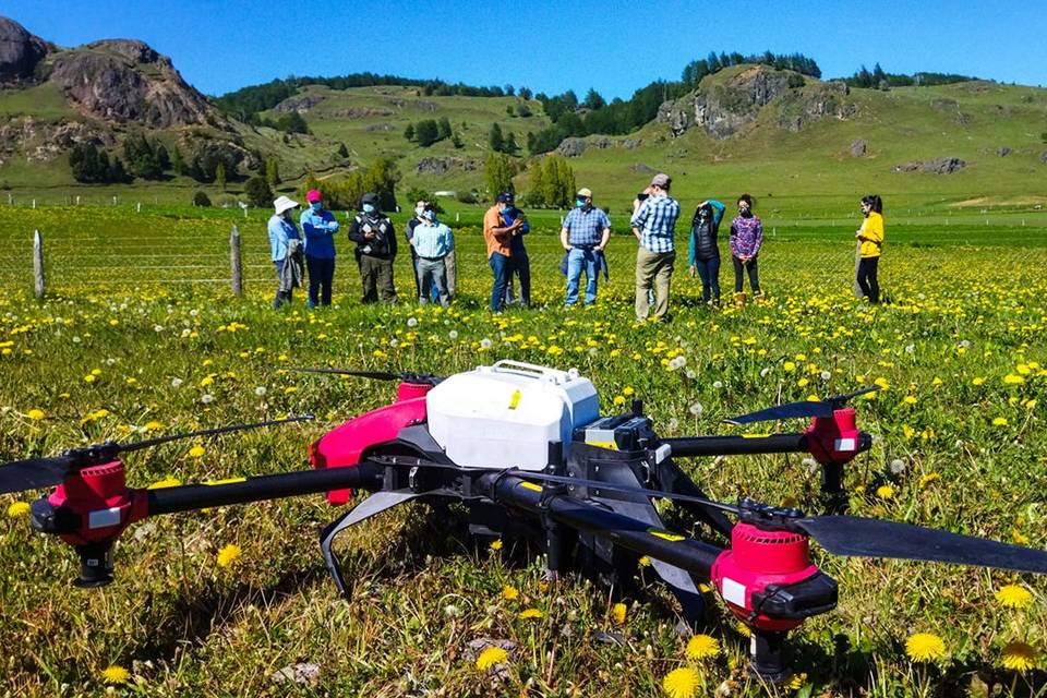 Drones Drop Seeds with Hope for Chile’s Highland Farms