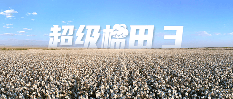 超级棉田第三季：复制模式准备开启？