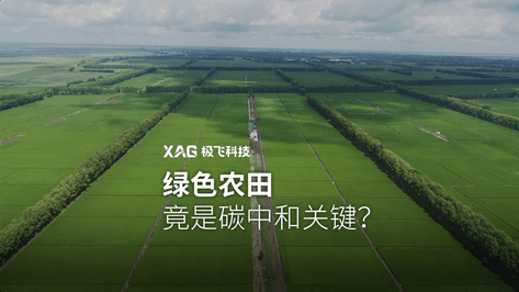 “种”了5327万棵树，极飞人是怎么做到的？