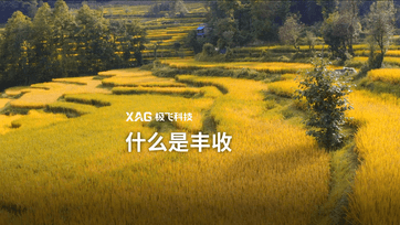 丰收节 | 科技的耕耘乡村田野，梦想跨越五湖四海